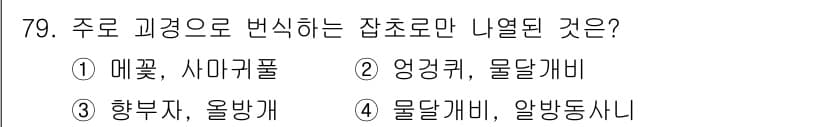 종자기사 2022년 79번 - 정답과 핵심 포인트를 검수 중인 기출문제