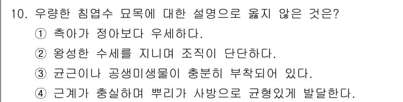 산림기사 2022년 10번 - 정답과 핵심 포인트를 검수 중인 기출문제