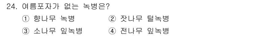 산림기사 2022년 24번 - . 향나무 녹병  
향나무는 여름철에 발생하는 주요 병해가 없으며, 다른... 에 관한 핵심 기출문제