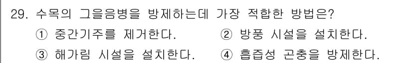 산림기사 2022년 29번 - 정답과 핵심 포인트를 검수 중인 기출문제