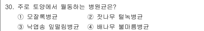 산림기사 2022년 30번 - . 모자렛병균

모자렛병균은 주로 토양에서 발생하며, 뿌리에 감염되어 식... 에 관한 핵심 기출문제
