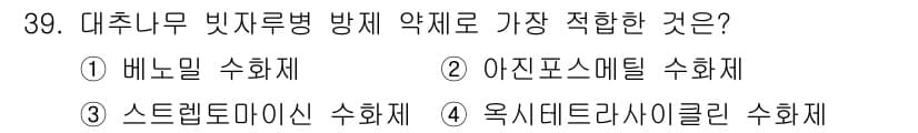 산림기사 2022년 39번 - 정답과 핵심 포인트를 검수 중인 기출문제