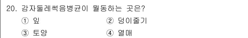 식물보호기사 2022년 20번 - 정답과 핵심 포인트를 검수 중인 기출문제