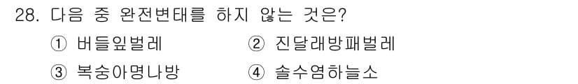 식물보호기사 2022년 28번 - 정답과 핵심 포인트를 검수 중인 기출문제