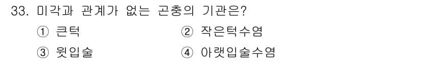 식물보호기사 2022년 33번 - . 큰덩굴

큰덩굴은 미국과 관련된 식물 해충이나 질병의 연구 대상이 아... 에 관한 핵심 기출문제