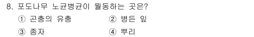 식물보호기사 2022년 8번 - . 병든 잎

포도나무 노균병균은 주로 노균병을 유발하며, 이는 병든 잎... 에 관한 핵심 기출문제