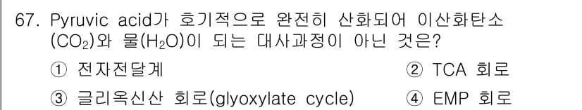 식품안전기사 2022년 67번 - 정답과 핵심 포인트를 검수 중인 기출문제