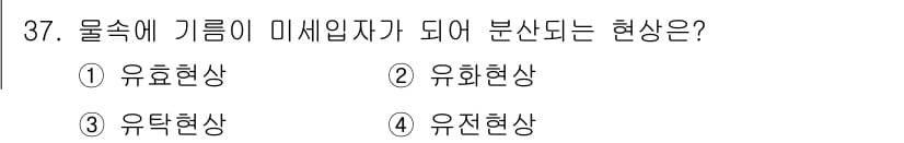 침투비파괴검사기사(구) 2022년 37번 - 정답과 핵심 포인트를 검수 중인 기출문제