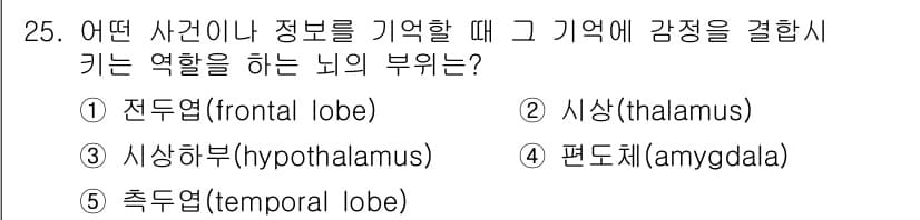 청소년상담사_3급(2교시) 2022년 25번 - 정답은 4번 편도체(amygdala)입니다. 편도체는 감정 처리와 관련된... 에 관한 핵심 기출문제