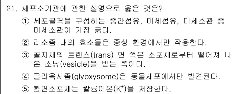 변리사_1차(3교시) 2023년 21번 - 정답과 핵심 포인트를 검수 중인 기출문제