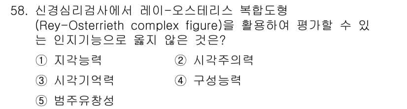 청소년상담사_2급(1교시)(구) 2023년 58번 - 레이-오스터리치 복합형은 주로 지각적 및 시각적 처리 능력을 평가하는 도... 에 관한 핵심 기출문제