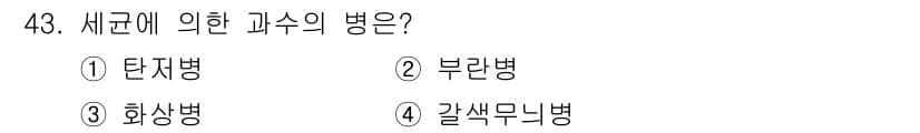 농산물품질관리사_1차 2023년 43번 - . 화상병

핵심 해설: 화상병은 세균에 의해 발생하는 농작물의 과수병으... 에 관한 핵심 기출문제