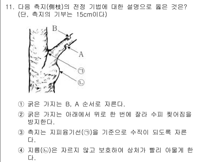 9급_국가직_공무원_조경학 2024년 11번 - 정답과 핵심 포인트를 검수 중인 기출문제