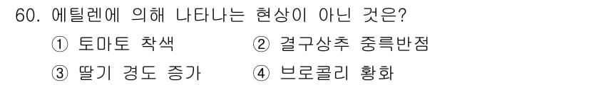 농산물품질관리사_1차 2024년 60번 - . 딸기 경도 증가

에틸렌은 과일의 성숙과 관련된 호르몬으로, 성숙 과... 에 관한 핵심 기출문제