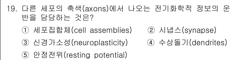 청소년상담사_3급(2교시) 2025년 19번 - 정답은 4번, 수상돌기(dendrites)입니다. 수상돌기는 신경세포가 ... 에 관한 핵심 기출문제