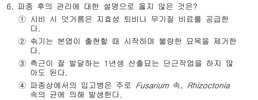 9급_지방직_공무원_조림 2024년 6번 - 정답과 핵심 포인트를 검수 중인 기출문제