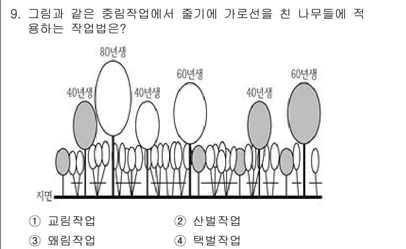 9급_지방직_공무원_조림 2024년 9번 - 정답과 핵심 포인트를 검수 중인 기출문제
